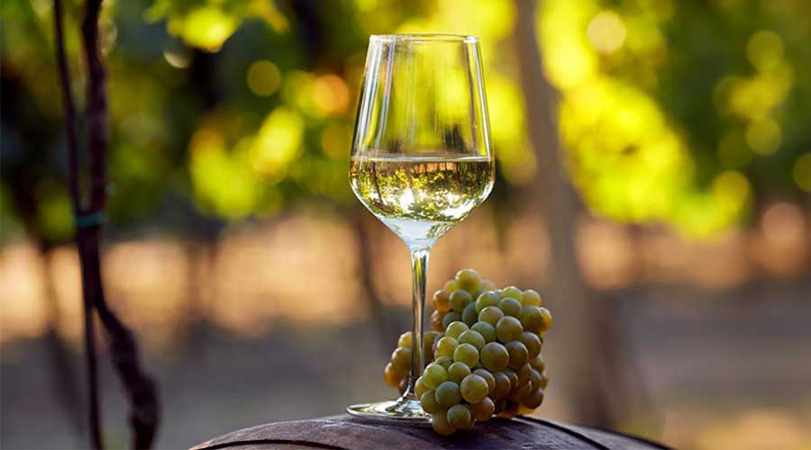 Rượu vang trắng (White Wine) thường có nồng độ nhẹ